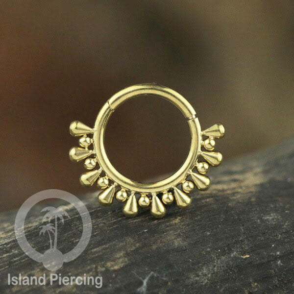 Anting Piercing Stainless Hinged Segment Ring Septum Jewelry warna emas
