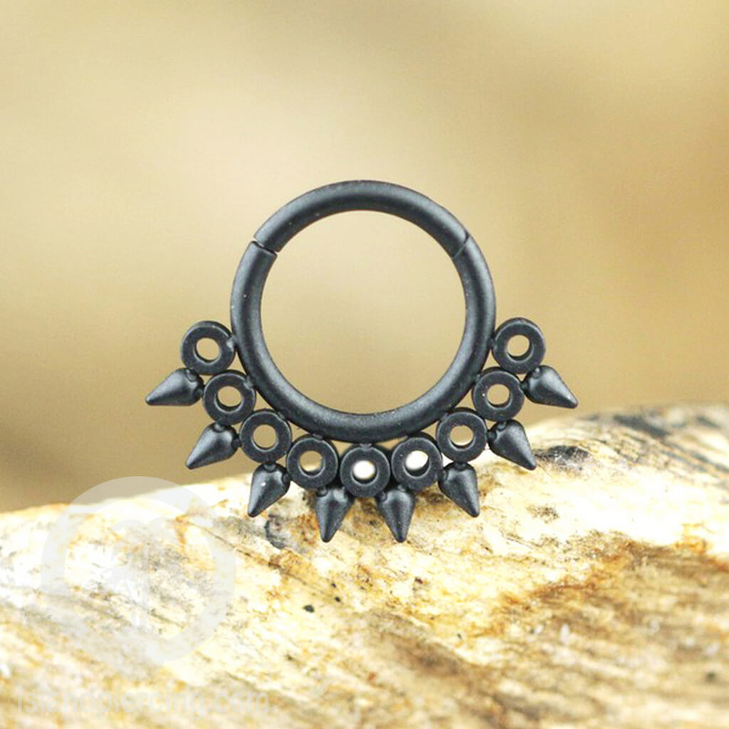 Anting Piercing Stainless Hinged Segment Ring Septum Jewelry warna silver