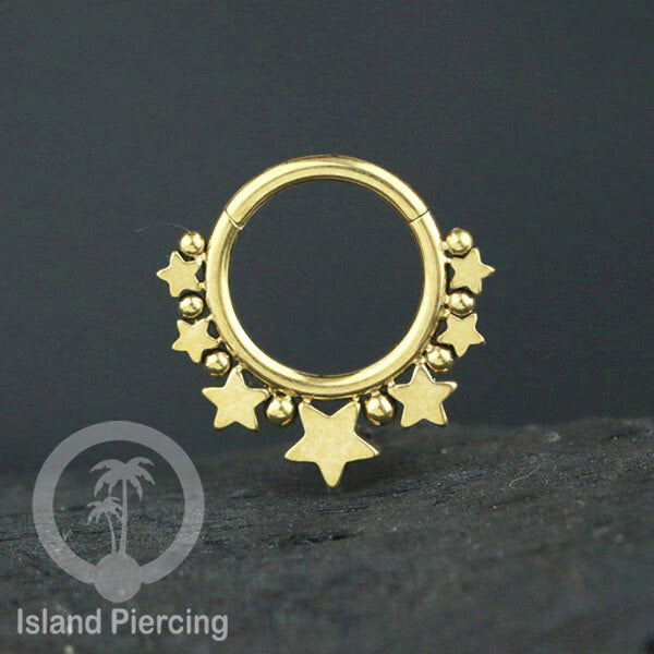 Anting Piercing Stainless Hinged Segment Ring Septum Jewelry warna emas