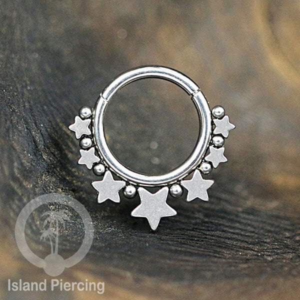 Anting Piercing Stainless Hinged Segment Ring Septum Jewelry warna silver