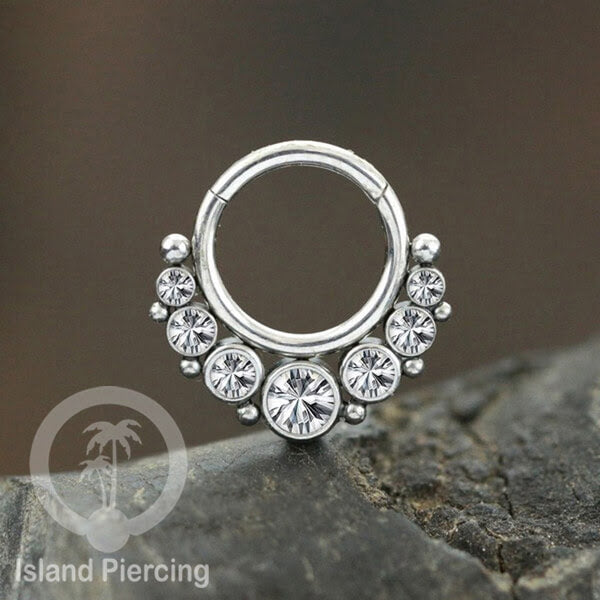 Stainless Steel Anting Clicker Septum Nose Piercing Kristal Septum Hidung warna silver