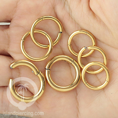 Anting stainless piercing hinged segment ring tebal 2&amp;3mm warna silver,gold,hitam