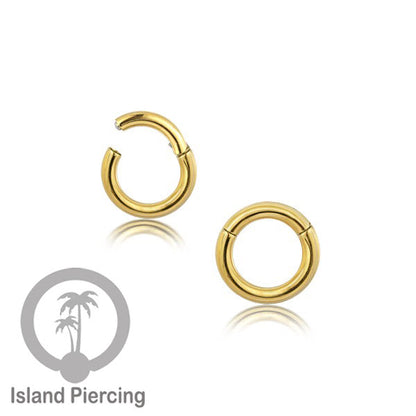 Anting stainless piercing hinged segment ring tebal 2&amp;3mm warna silver,gold,hitam
