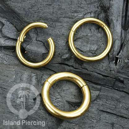 Anting stainless piercing hinged segment ring tebal 2&amp;3mm warna silver,gold,hitam