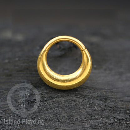Anting Piercing Stainless Hinged Segment Ring Septum Jewelry warna gold 4 pilihan model