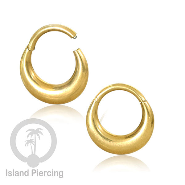 Anting Piercing Stainless Hinged Segment Ring Septum Jewelry warna gold 4 pilihan model