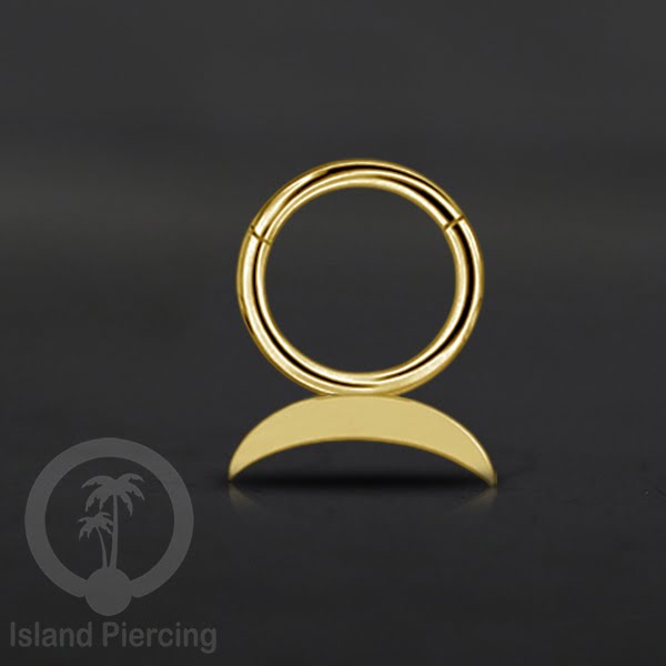 Piercing Stainless Hinged Segment Ring Septum Anting Tindik Telinga motif unik warna gold