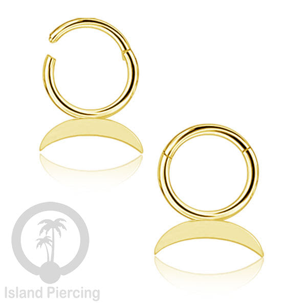 Piercing Stainless Hinged Segment Ring Septum Anting Tindik Telinga motif unik warna gold