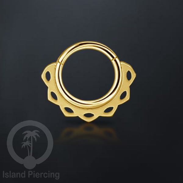 Piercing Stainless Hinged Segment Ring Septum Anting Tindik Telinga motif unik warna gold
