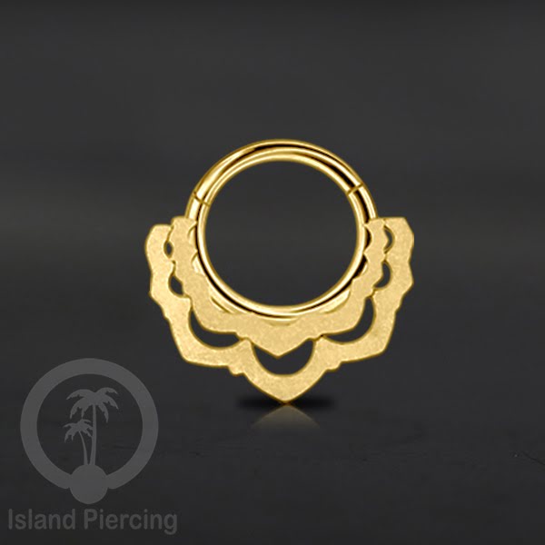 Anting Tindik Stainless Segment Ring yang unik Body Jewelry untuk Telinga dan Septum warna gold