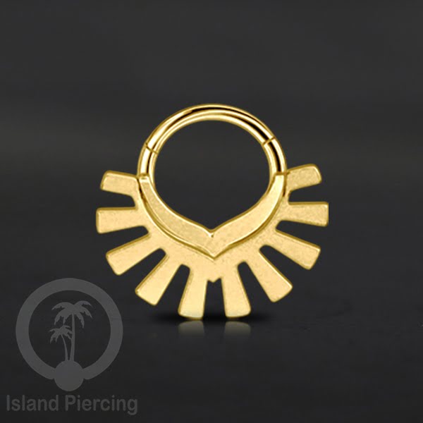 Anting Tindik Stainless Hinged Segment Ring Septum Piercing Telinga Body Jewelry warna gold