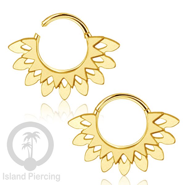 Anting Tindik Stainless Segment Ring yang unik Body Jewelry untuk Telinga dan Septum warna gold