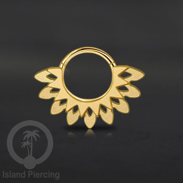 Anting Tindik Stainless Segment Ring yang unik Body Jewelry untuk Telinga dan Septum warna gold