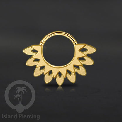 Anting Tindik Stainless Segment Ring yang unik Body Jewelry untuk Telinga dan Septum warna gold