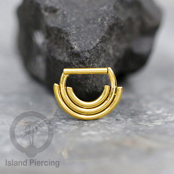 Hinged Septum Piercing Ring stainless steel tragus piercing mix design warna gold