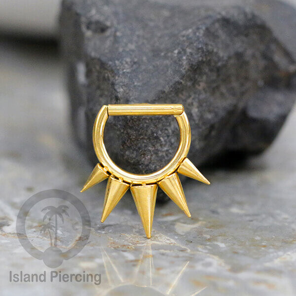 Hinged Septum Piercing Ring stainless steel tragus piercing design campur warna gold