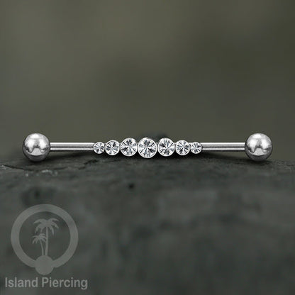 Anting Industrial Piercing stainless istemewa warna Silver dengan Kristal Zirconia