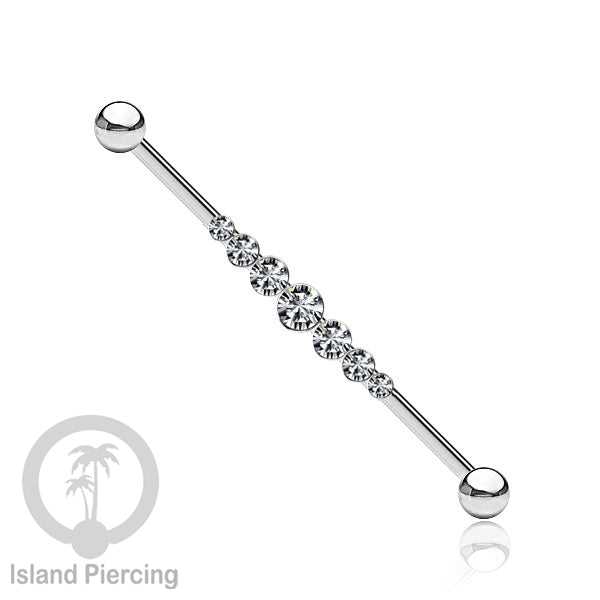 Anting Industrial Piercing stainless istemewa warna Silver dengan Kristal Zirconia