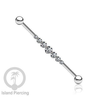 Anting Industrial Piercing stainless istemewa warna Silver dengan Kristal Zirconia