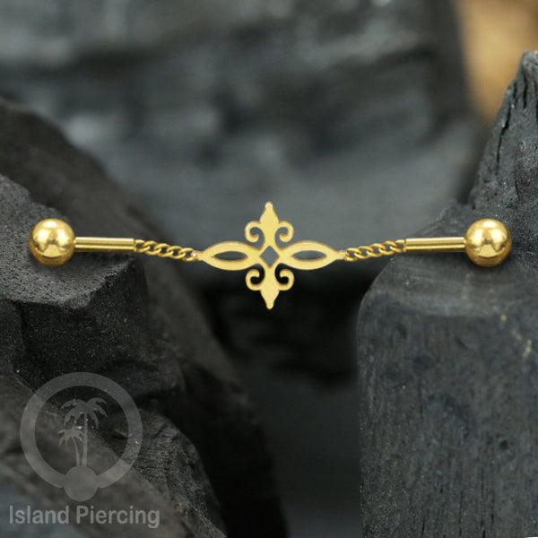 Anting Industrial Piercing Stainless rantai warna emas dengan 6 pilihan desain istimewa