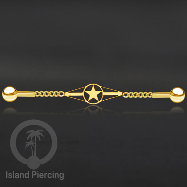 Anting Industrial Piercing Stainless rantai warna gold dengan 6 pilihan desain istimewa