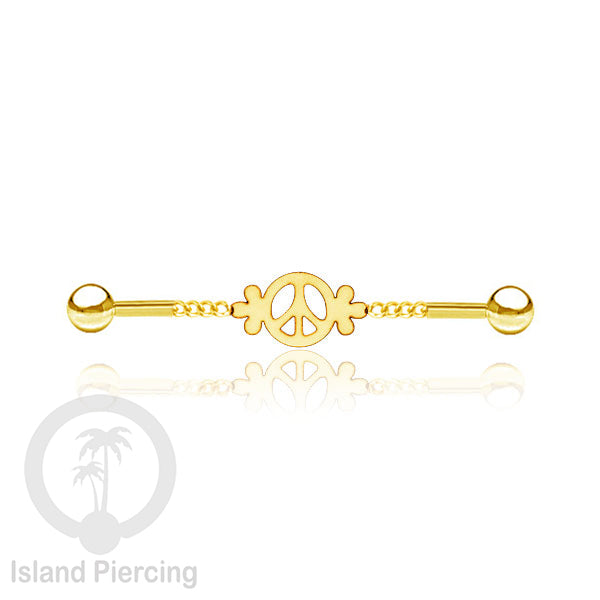 Anting Industrial Piercing Stainless rantai warna gold dengan 6 pilihan desain istimewa