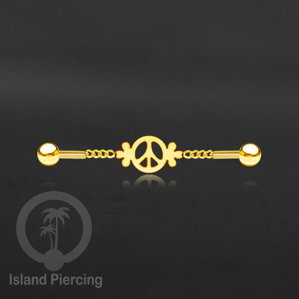 Anting Industrial Piercing Stainless rantai warna gold dengan 6 pilihan desain istimewa