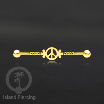 Anting Industrial Piercing Stainless rantai warna gold dengan 6 pilihan desain istimewa
