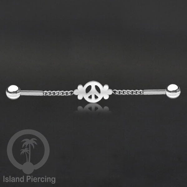Anting Industrial Piercing Stainless rantai warna silver dengan 6 pilihan desain