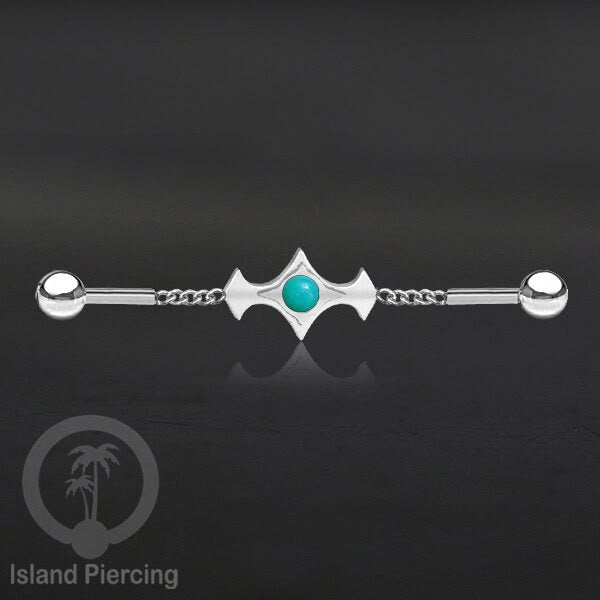Anting Industrial Piercing Stainless rantai warna silver desain industrial dengan warna epoxy