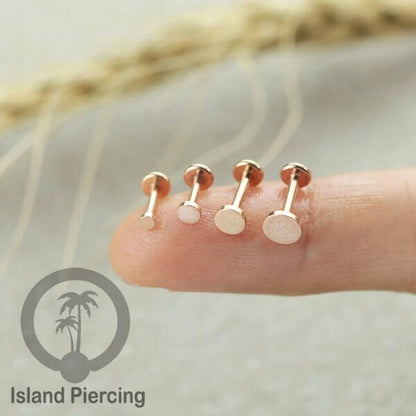 Labret piercing datar PVD warna Gold &amp; Rose gold stainless steel tragus piercing