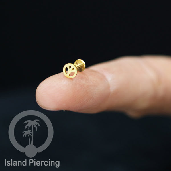 Labret Jewelry Tindik Piercing Stainless untuk anting Helix, Tragus dan Tindik bibir warna gold