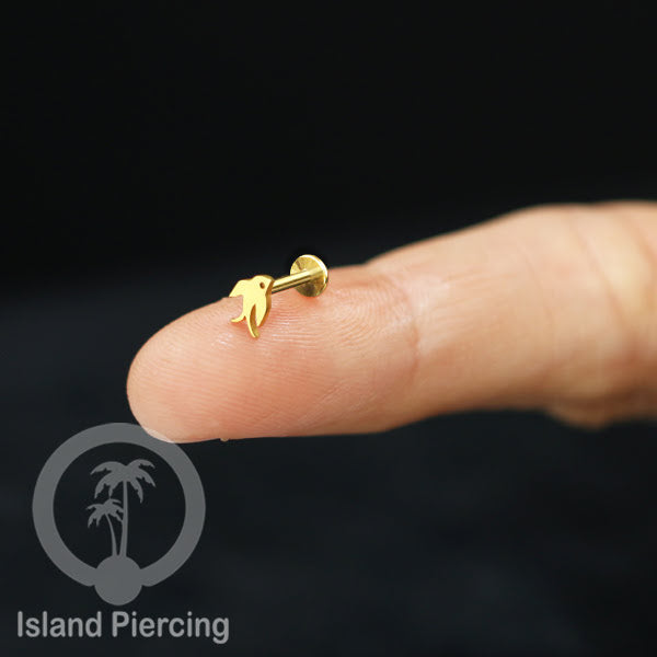 Labret Body Jewelry Tindik Piercing Stainless Helix, Tragus dan Lip warna gold