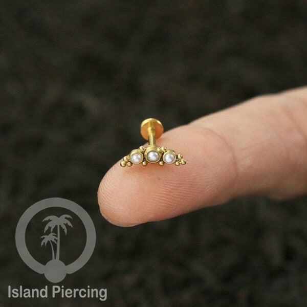 XL 220G