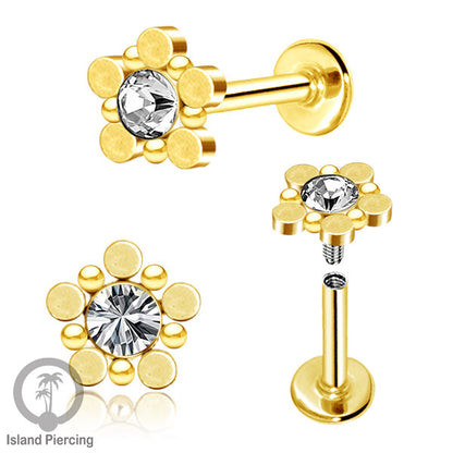 XL  311-314, 316, 325G CZ