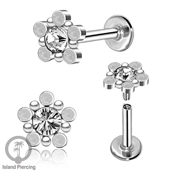 XL  311-314, 316, 325X CZ
