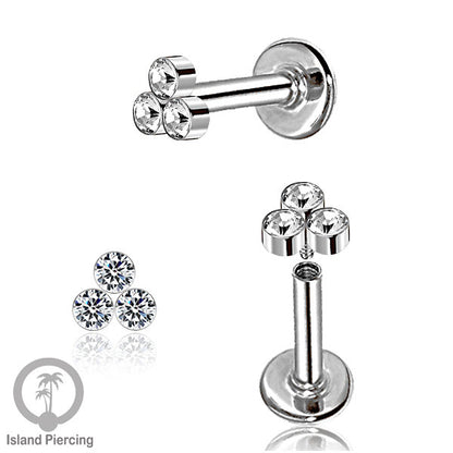 XL  311-314, 316, 325X CZ