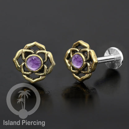 XL 513