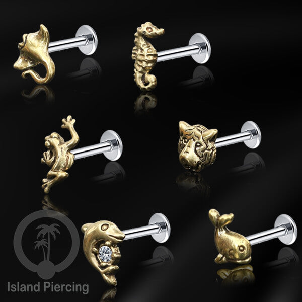 Piercing Stainless Steel Labret dengan kepala dari kuningan cocok untuk Tragus, Daith and Flat piercing