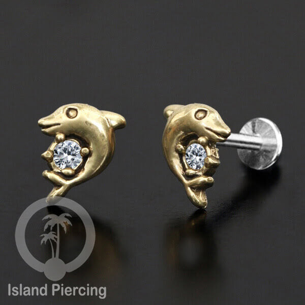 Piercing Stainless Steel Labret dengan kepala dari kuningan cocok untuk Tragus, Daith and Flat piercing