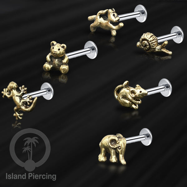 Piercing Brass dengan paku Stainless Steel Labret cocok untuk Tragus, Daith and flat piercing