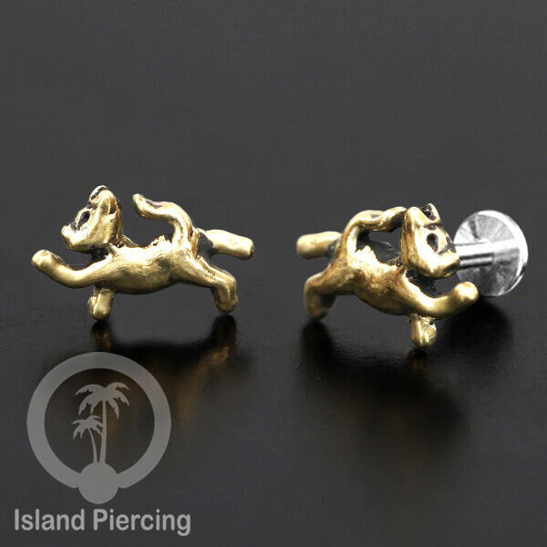 Piercing Brass dengan paku Stainless Steel Labret cocok untuk Tragus, Daith and flat piercing