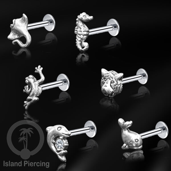 Piercing Stainless Steel Labret dengan kepala Silver 925 cocok untuk Tragus, Daith and Flat piercing
