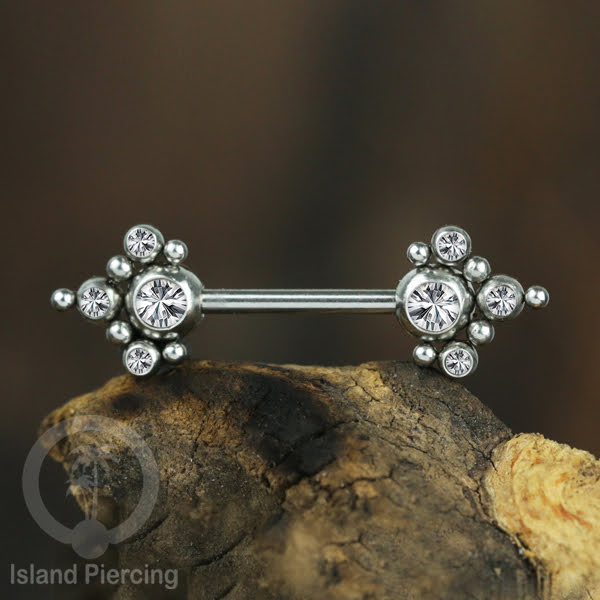Tindik Aksesoris Puting Stainless warna silver banyak model kristal Zirconia Nipple Body Jewelry