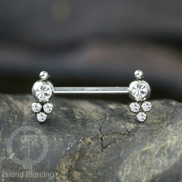 Tindik Aksesoris Puting Stainless warna silver banyak model kristal Zirconia Nipple Body Jewelry