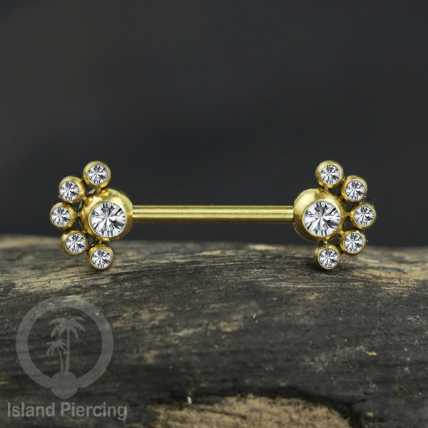 Tindik Puting bahan Stainless warna gold. Crystal Nipple Body Jewelry Piercing Barbells