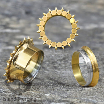 Anting Plug dan Tunnel Piercing stainless warna gold yang istemewa