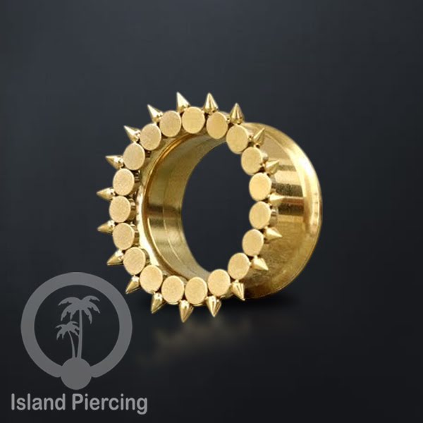 Anting Plug dan Tunnel Piercing stainless warna gold yang istemewa