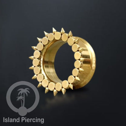 Anting Plug dan Tunnel Piercing stainless warna gold yang istemewa