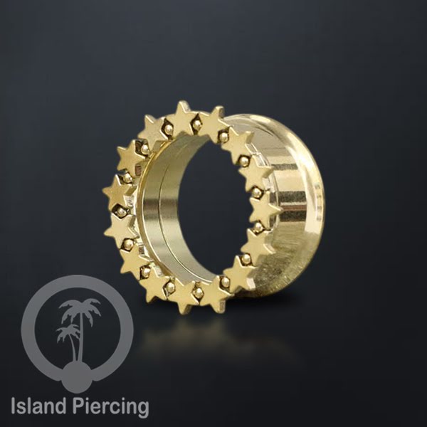 Anting Plug dan Tunnel Piercing stainless warna gold yang istemewa